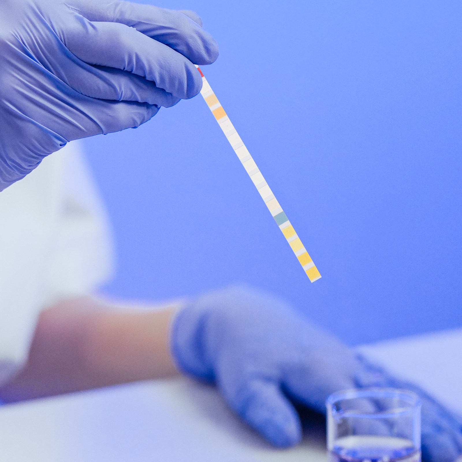100Pcs Water Testing Strips fo - đánh giá và giá Water Testing Kit